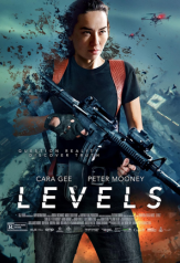 levels (2024)